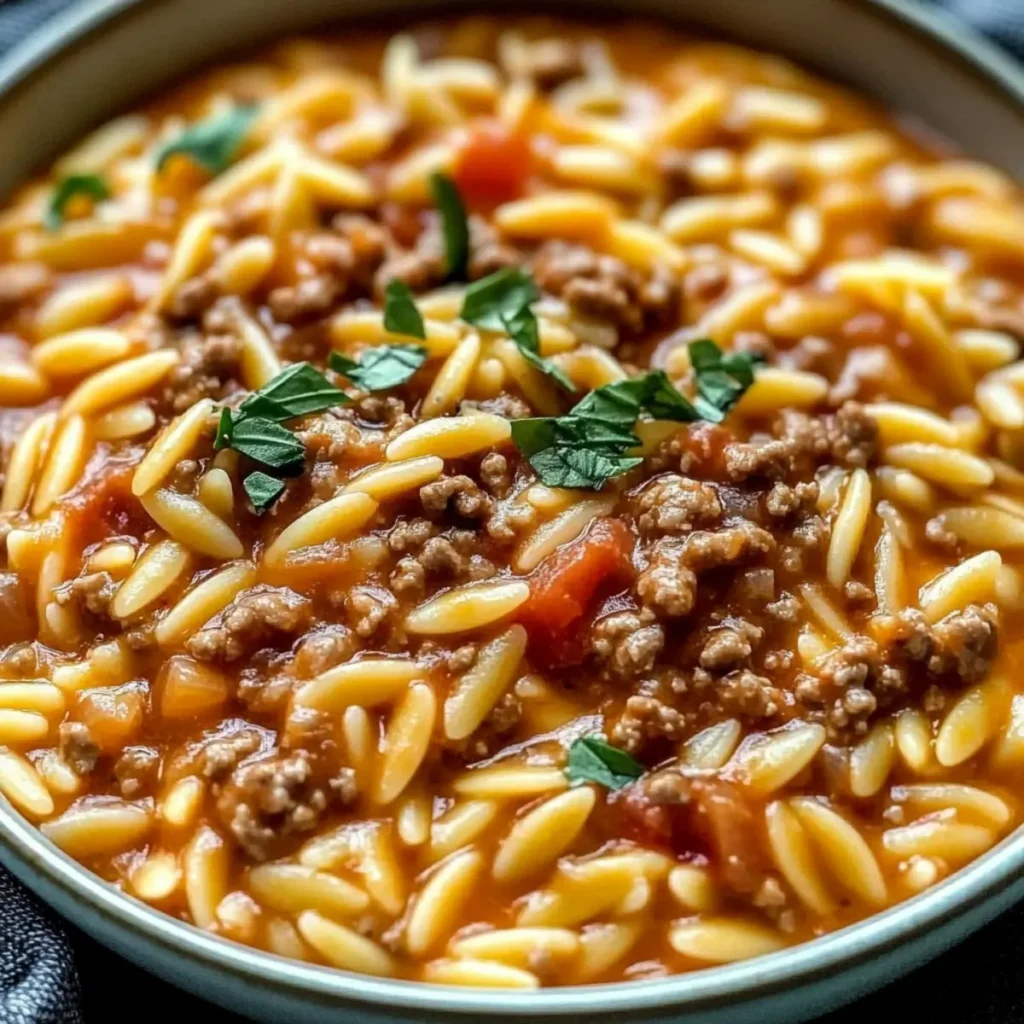 Ground Beef Orzo with Tomato Cream Sauce